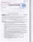 Contrat de bail 